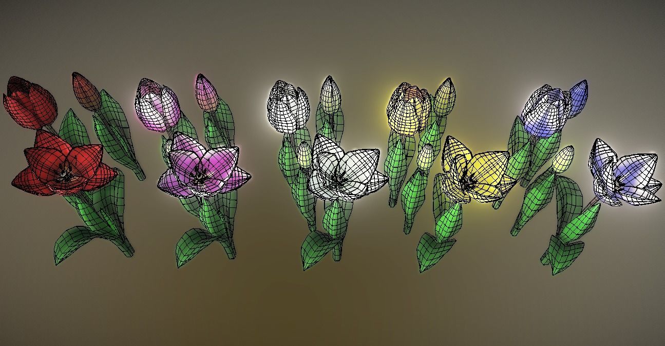 Flower Tullip Low-poly 3D model_2