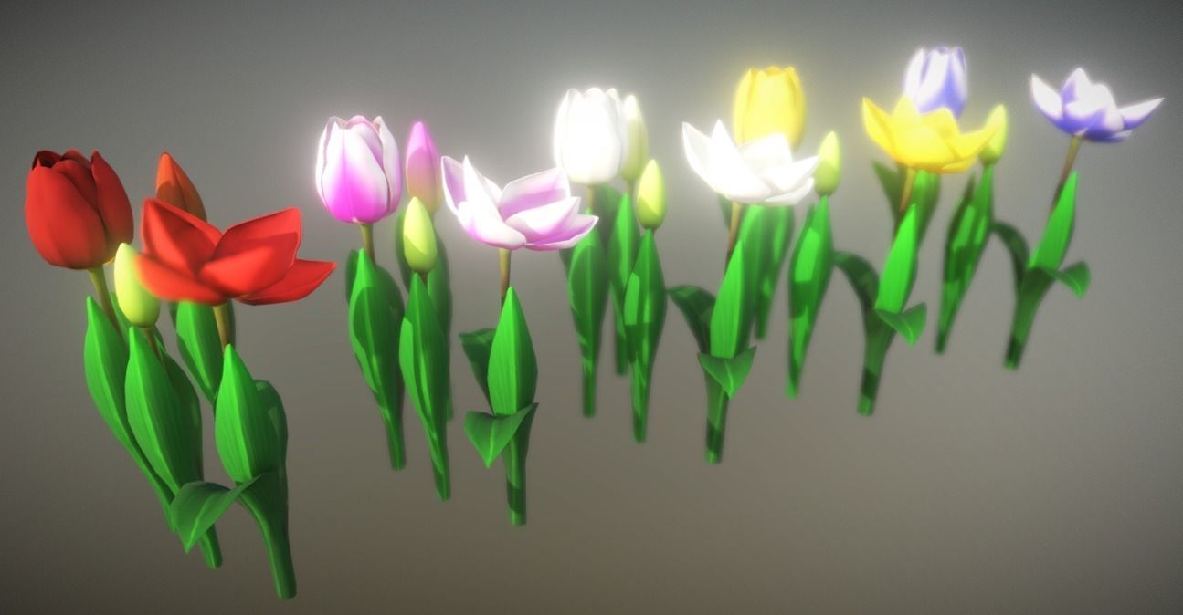 Flower Tullip Low-poly 3D model_1