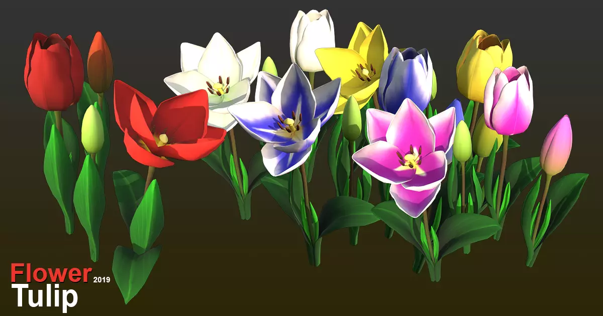 Flower Tullip Low-poly 3D model_0