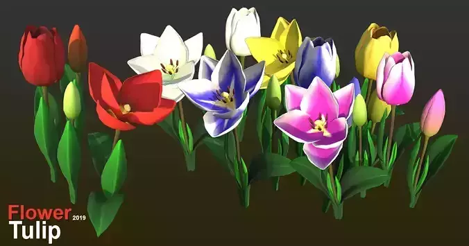 Flower Tullip Low-poly 3D model