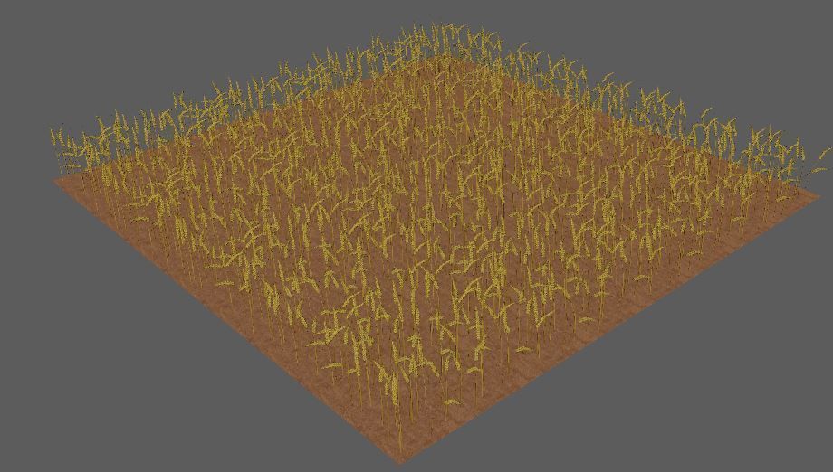 wheat Field 3D 3D model_4