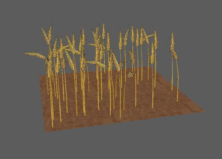 wheat Field 3D 3D model_2