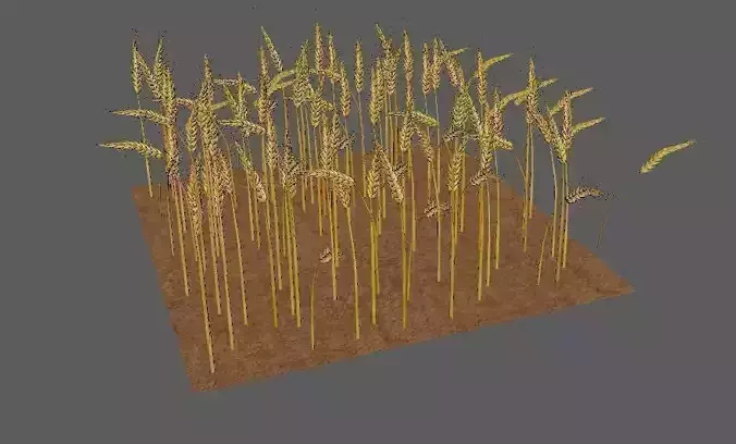 wheat Field 3D 3D model
