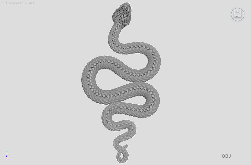 Snake 3D model_5