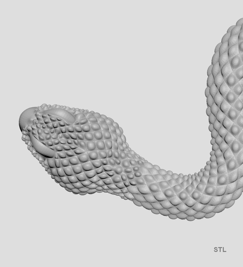 Snake 3D model_14