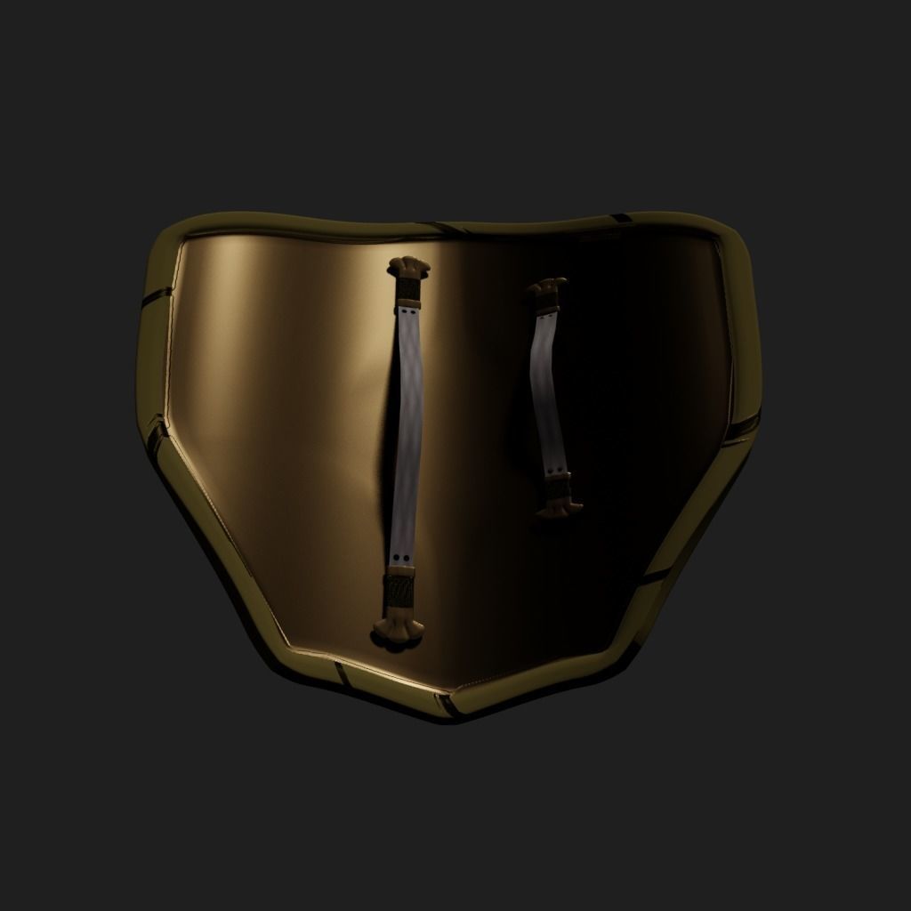 Shield - Wasp Shield 3D model_1
