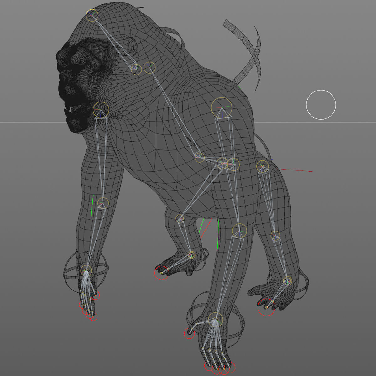 GORILLA 3D model_10