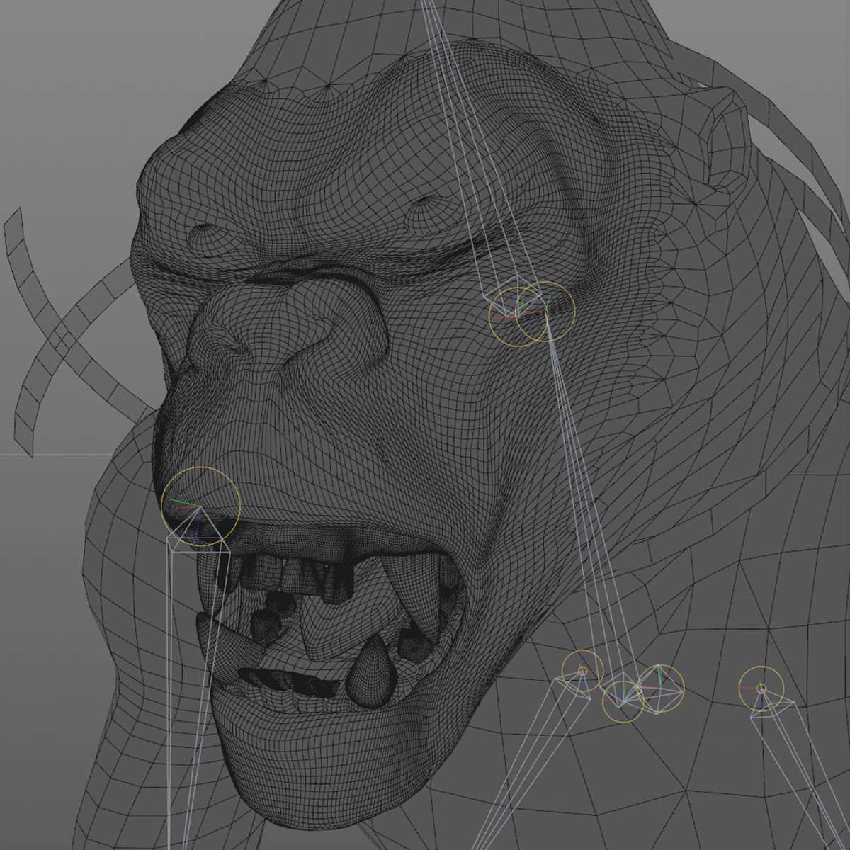 GORILLA 3D model_12