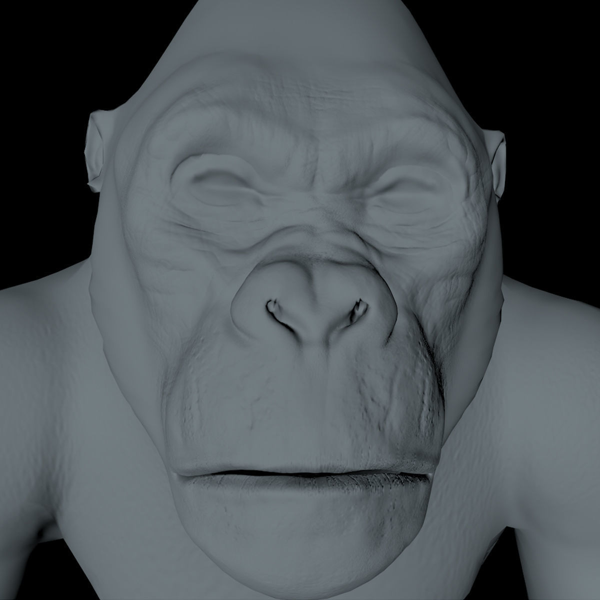 GORILLA 3D model_15