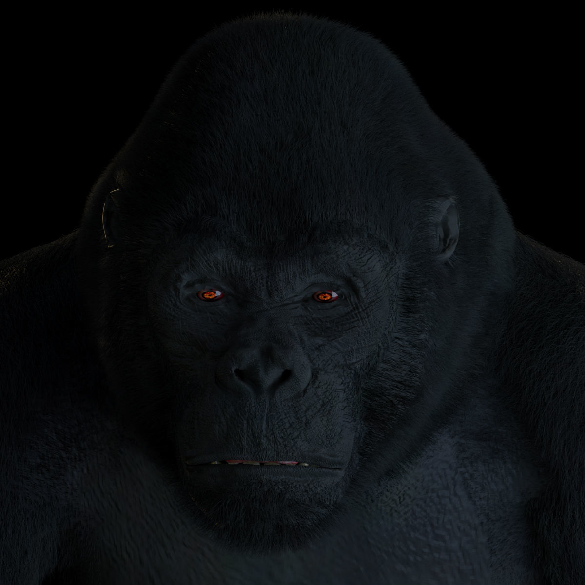 GORILLA 3D model_2