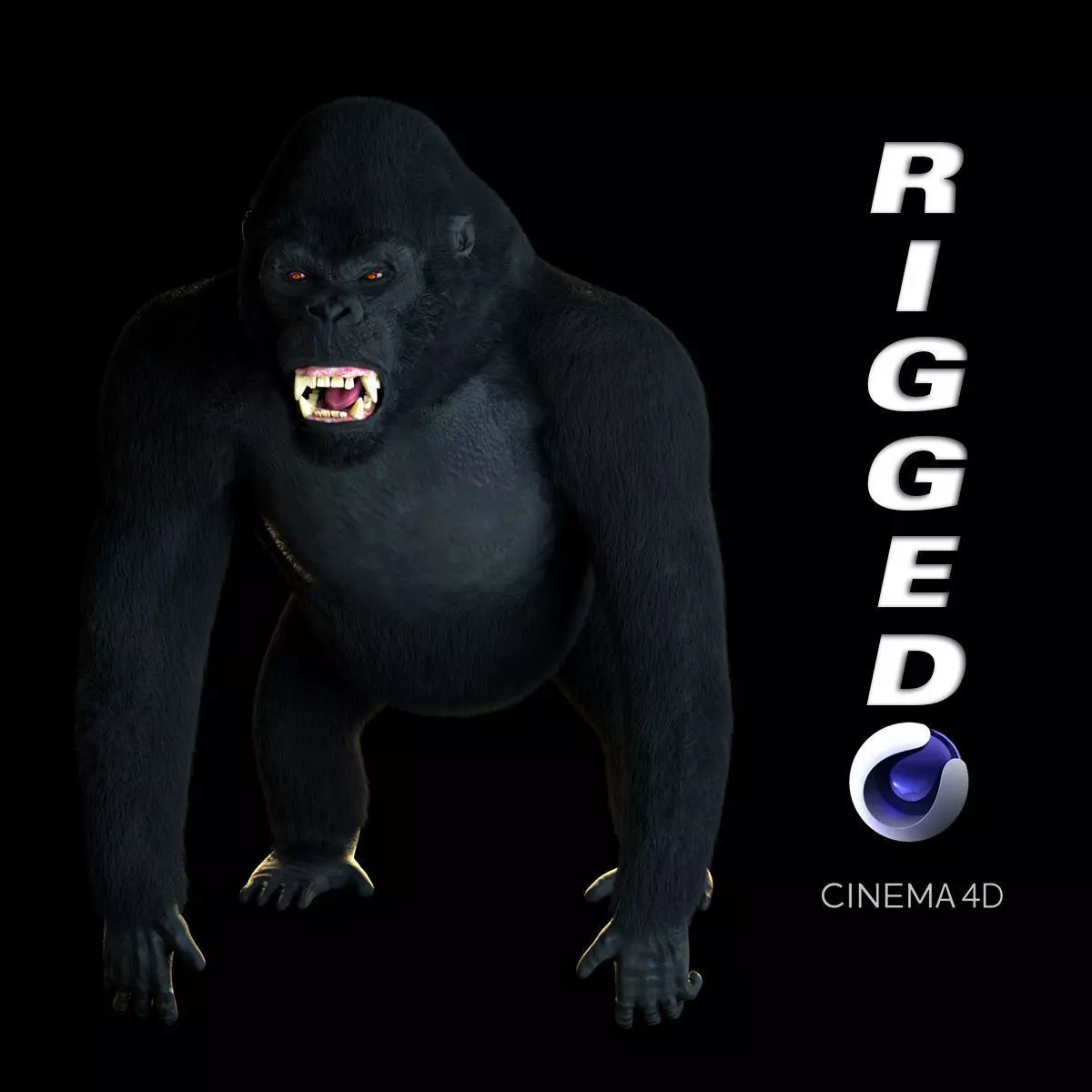 GORILLA 3D model_0