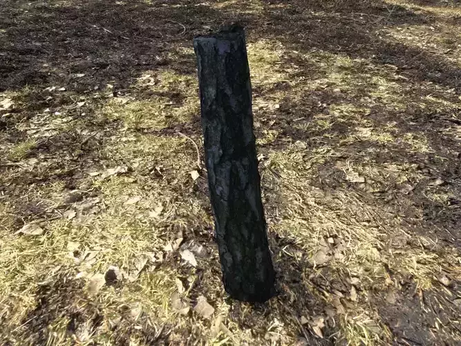 TreeTrunk1 tree stump Low-poly 3D model