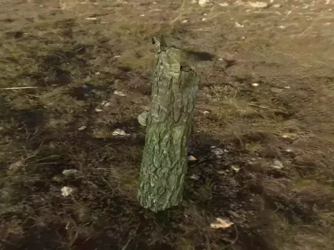 TreeTrunk3 tree trunk Low-poly 3D model