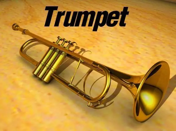 Trumpet golden 3D model_0