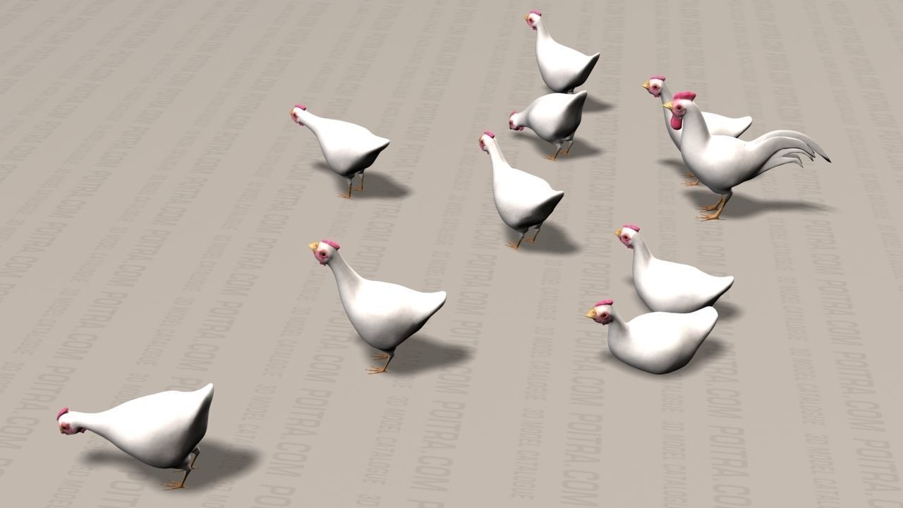 Chicken Ranch - Rooster and 9 Posed Hens - White  -  3D model_3