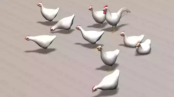Chicken Ranch - Rooster and 9 Posed Hens - White  -  3D model