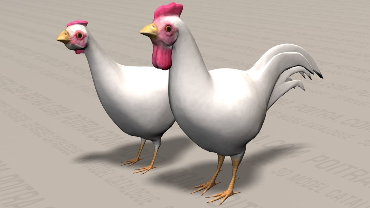 Chicken Ranch - Rooster and 9 Posed Hens - White  -  3D model_9