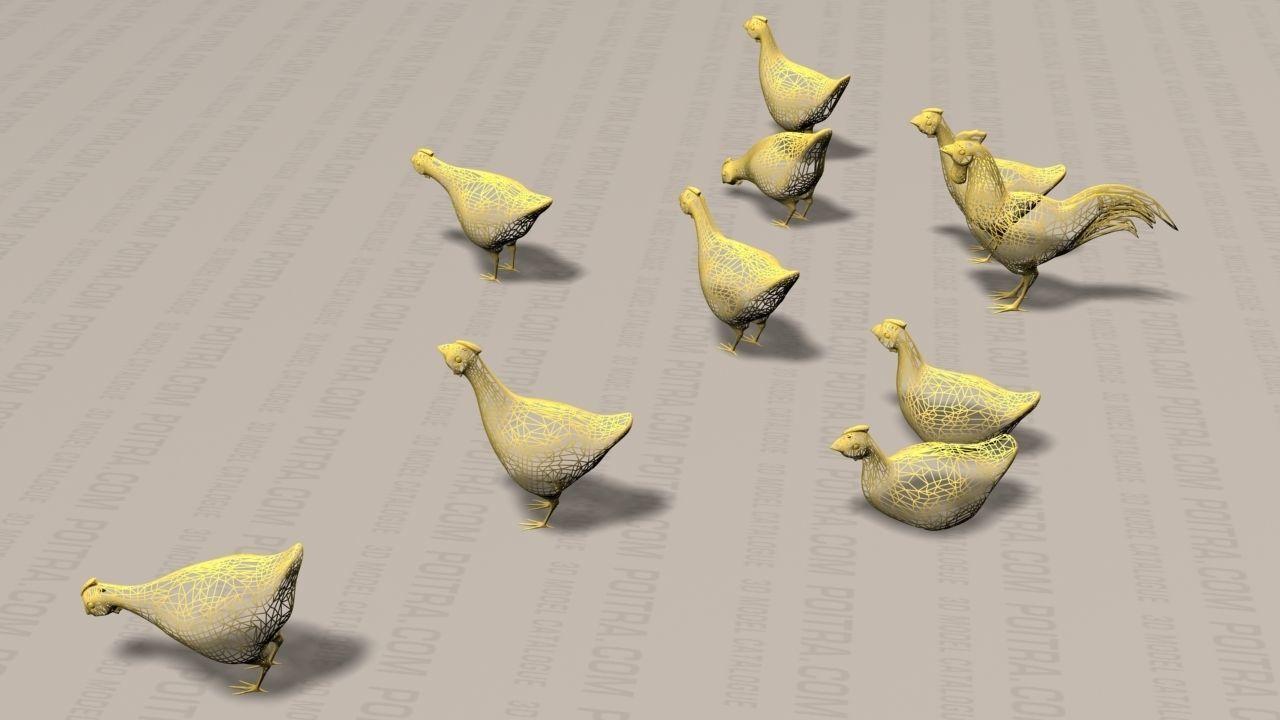 Chicken Ranch - Rooster and 9 Posed Hens - White  -  3D model_5