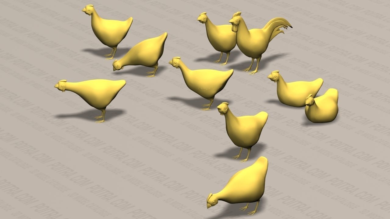 Chicken Ranch - Rooster and 9 Posed Hens - White  -  3D model_1