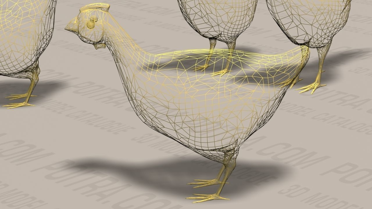 Chicken Ranch - Rooster and 9 Posed Hens - White  -  3D model_8