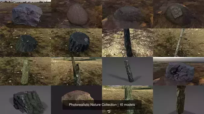 Photorealistic Nature Collection