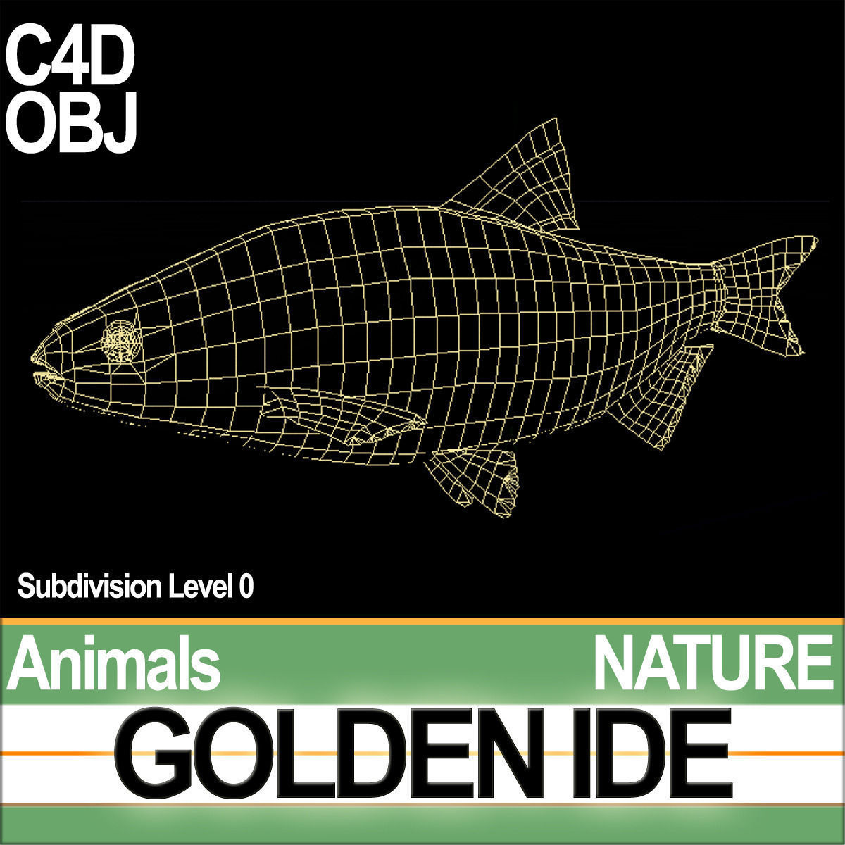 Golden Ide 3D model_4