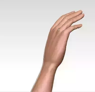 Realistic Hand human with fingers extended