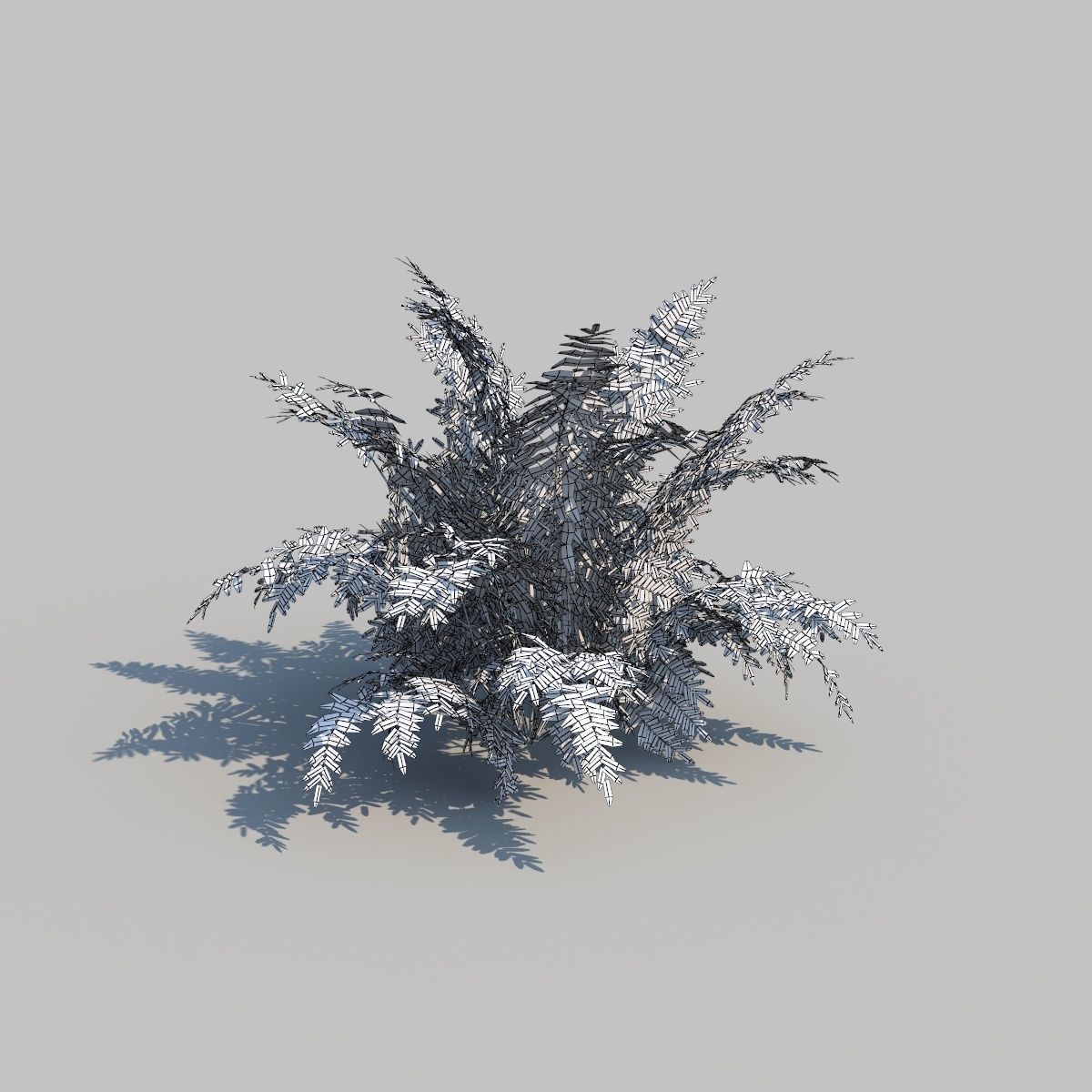 Autumn Fern A With Animation 3D model_6