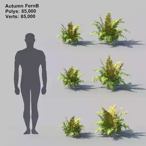 Autumn Fern B With Animation