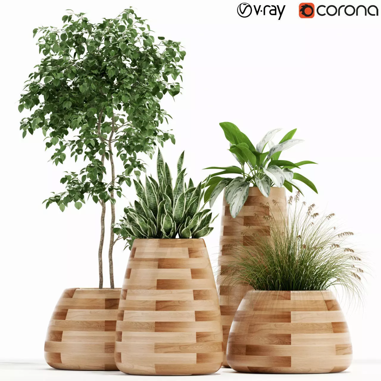 Plants collection 129 indigenus tuber 3D model