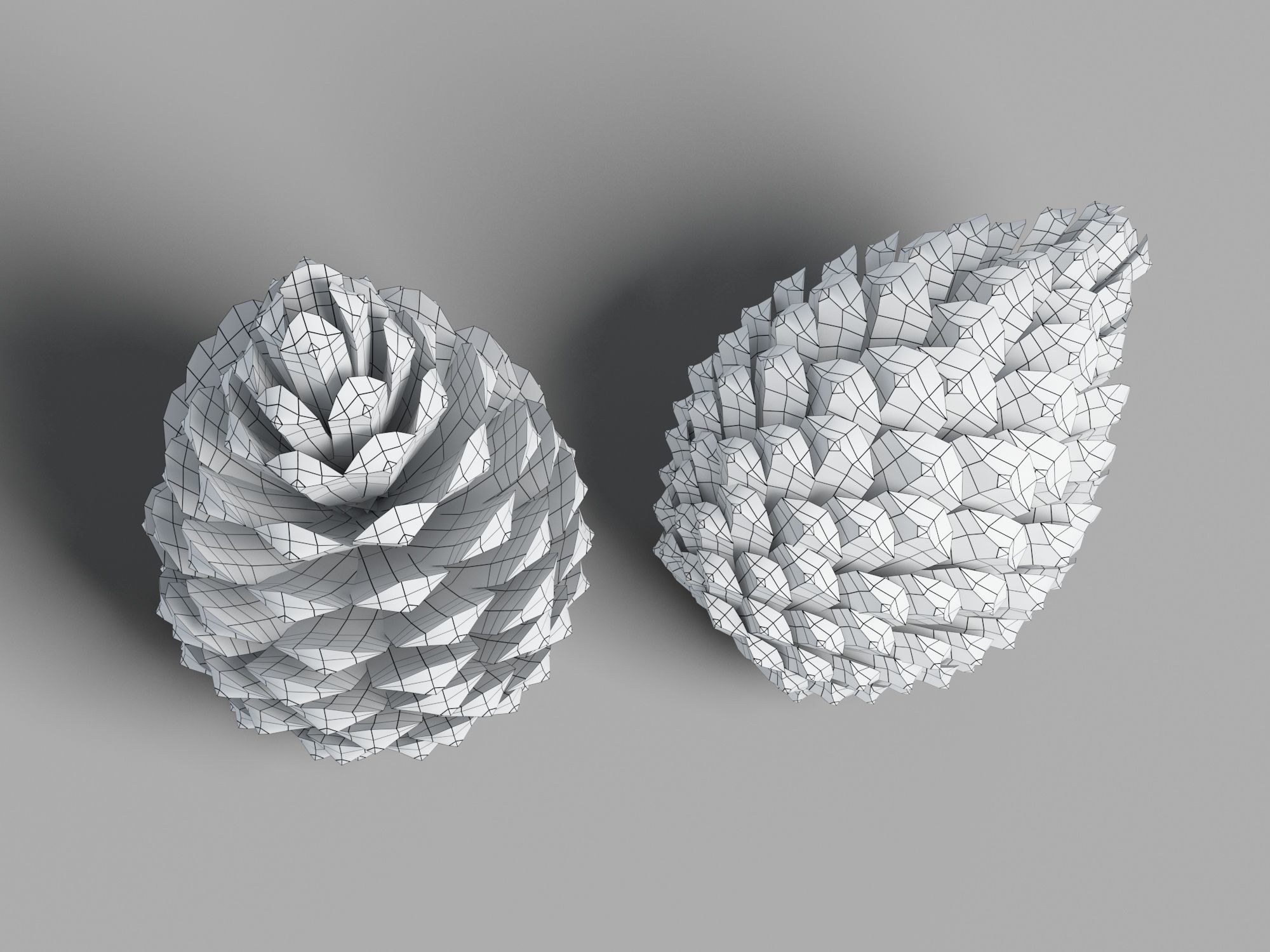 Pine Cone Low-poly 3D model_8