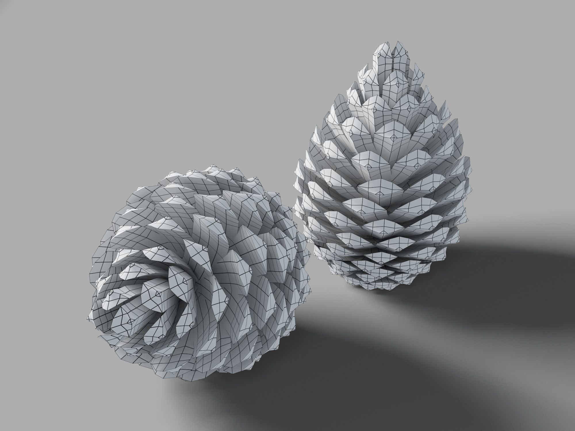 Pine Cone Low-poly 3D model_10