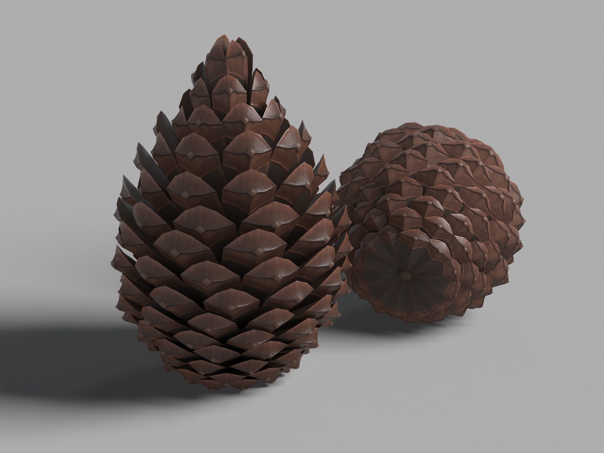 Pine Cone Low-poly 3D model_4