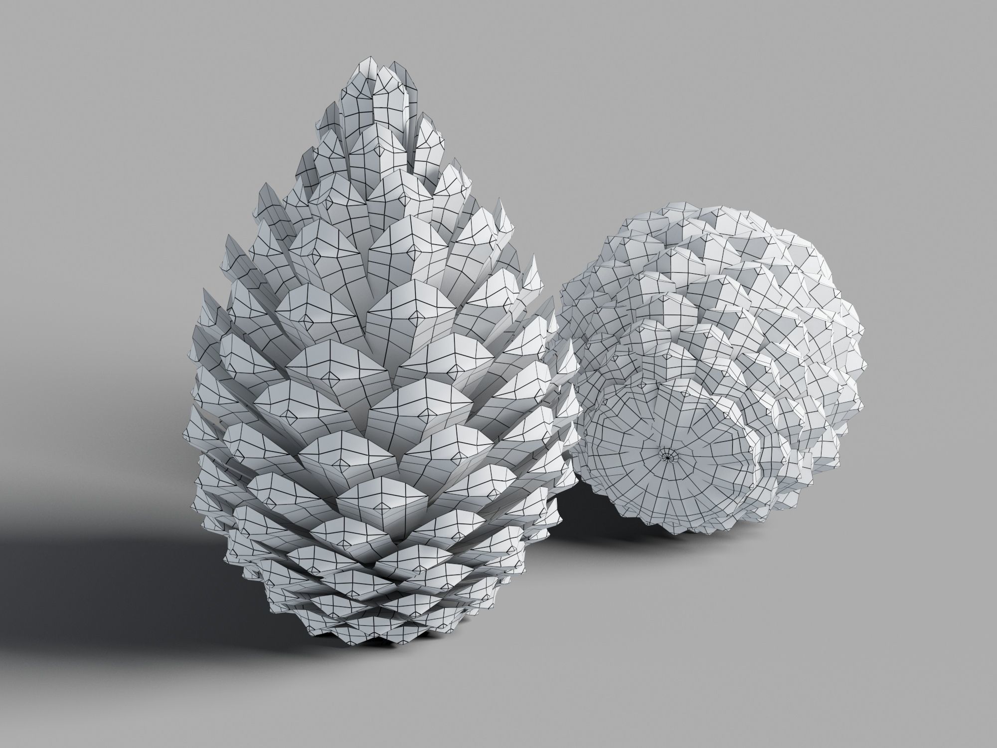 Pine Cone Low-poly 3D model_9