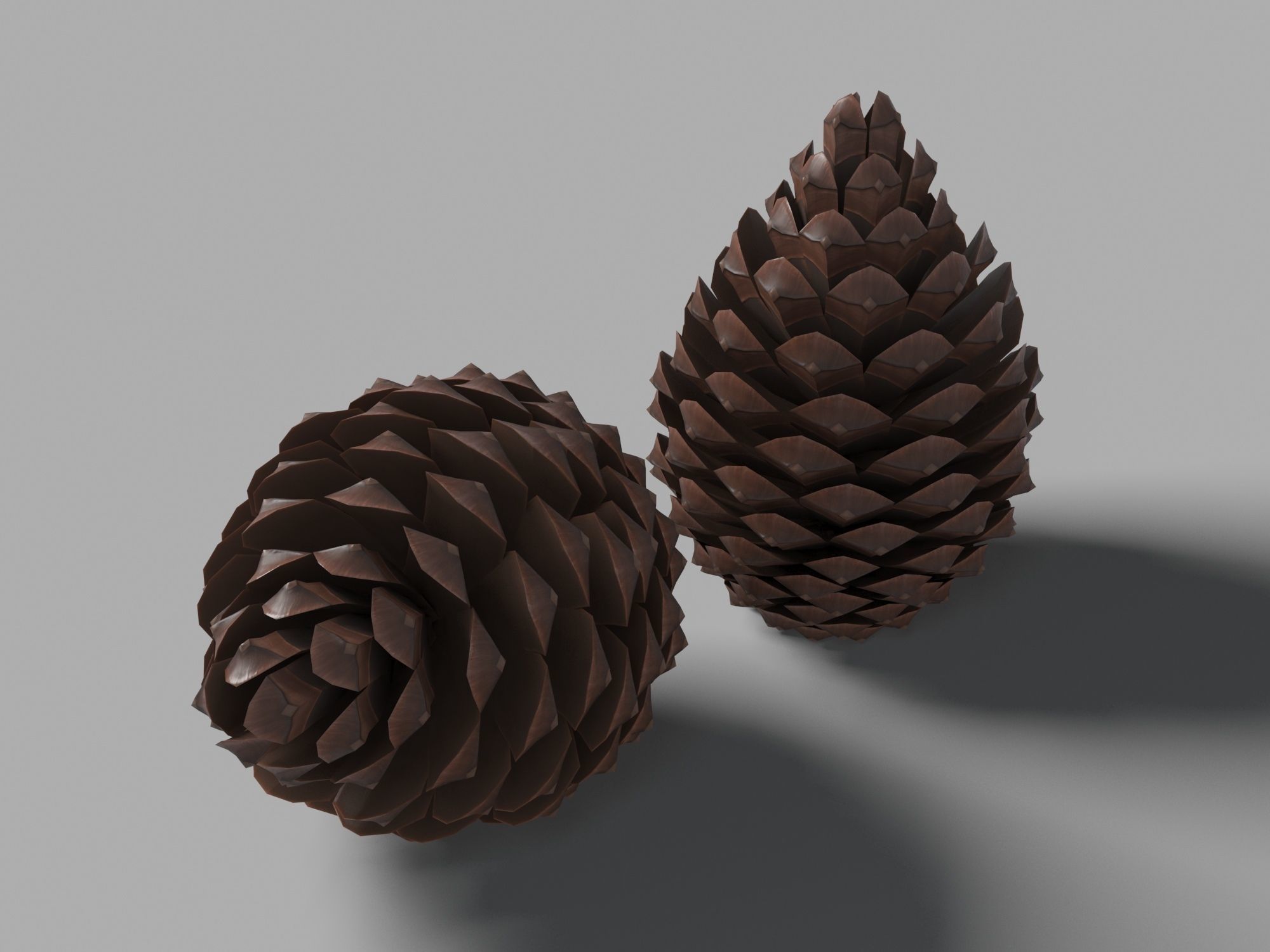 Pine Cone Low-poly 3D model_5