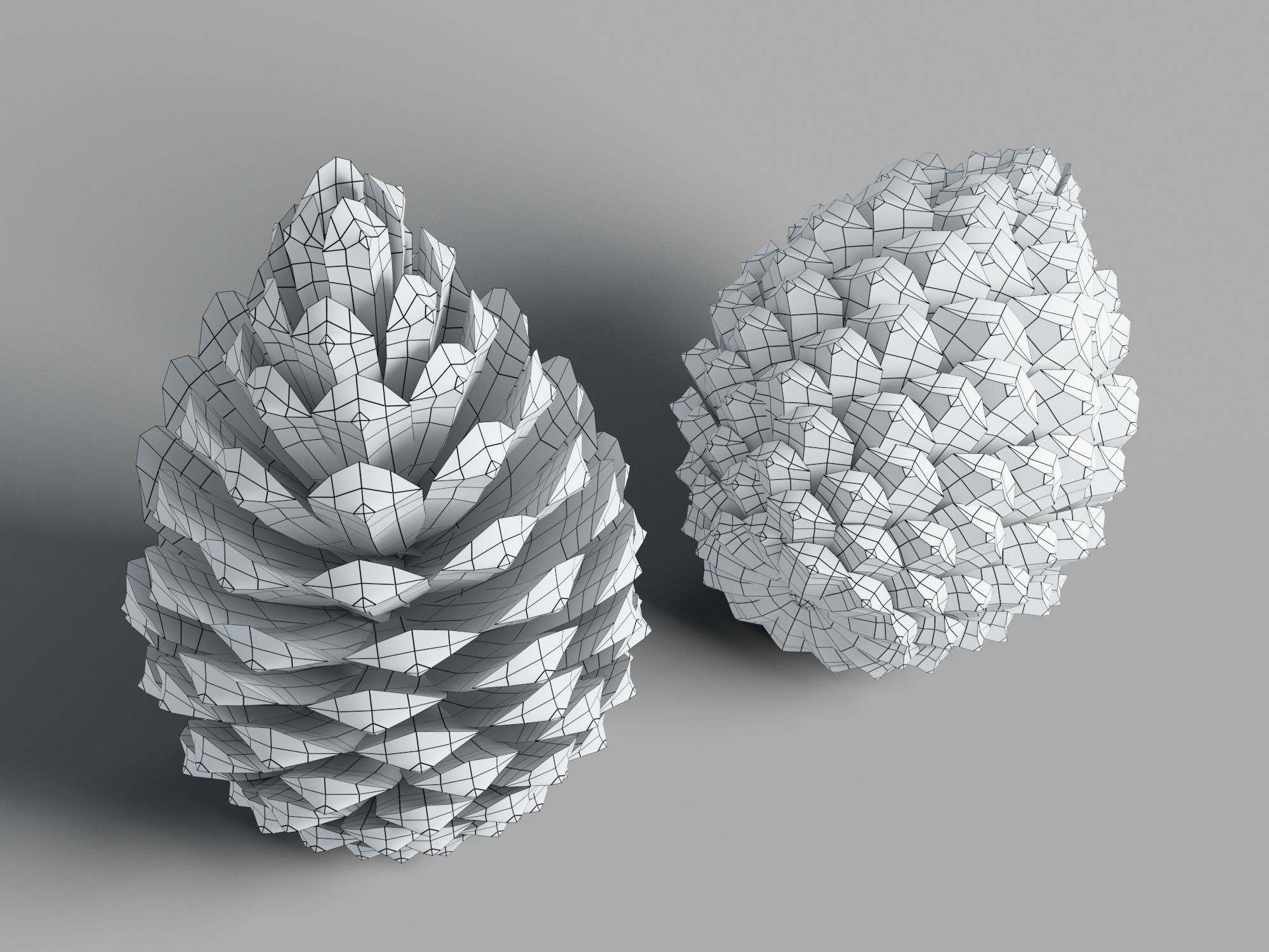 Pine Cone Low-poly 3D model_7