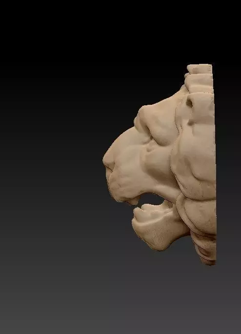 Lion Head 3D print model_0