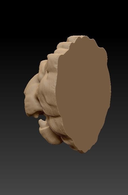 Lion Head 3D print model_1