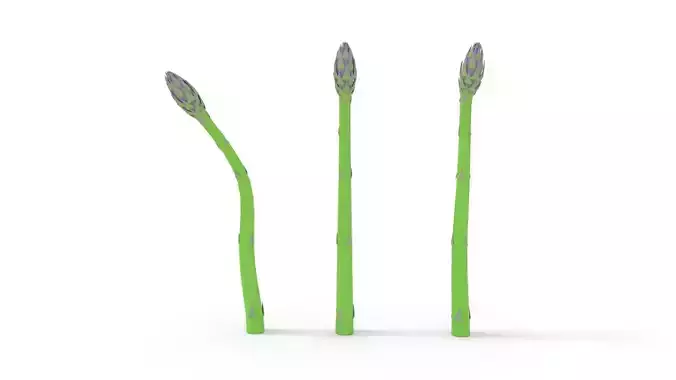 Asparagus with Shapes 3D model
