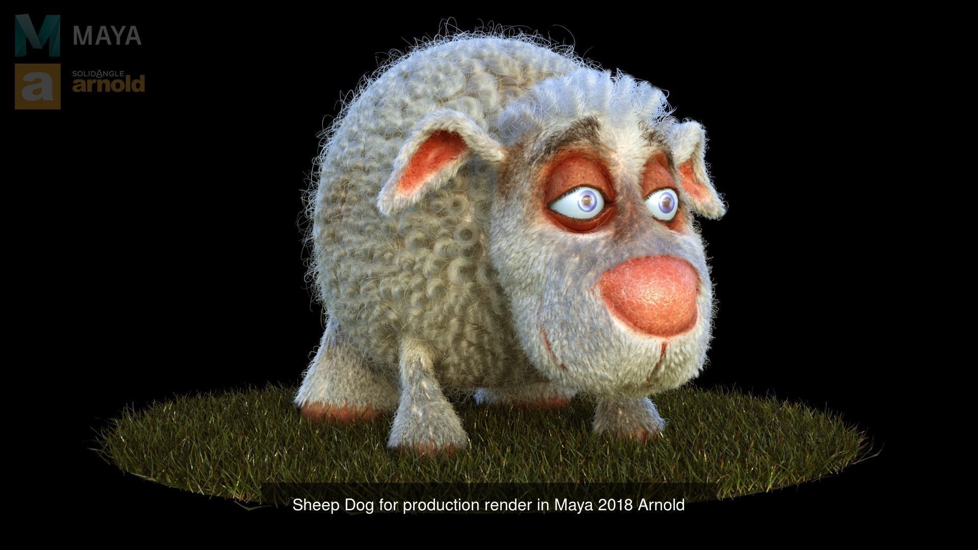 Hair and Fur bundle 3D Model Collection_22