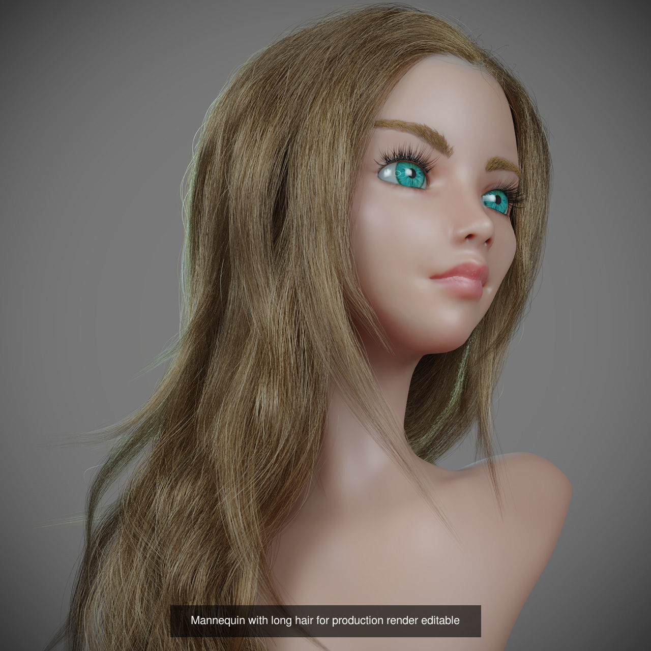 Hair and Fur bundle 3D Model Collection_23