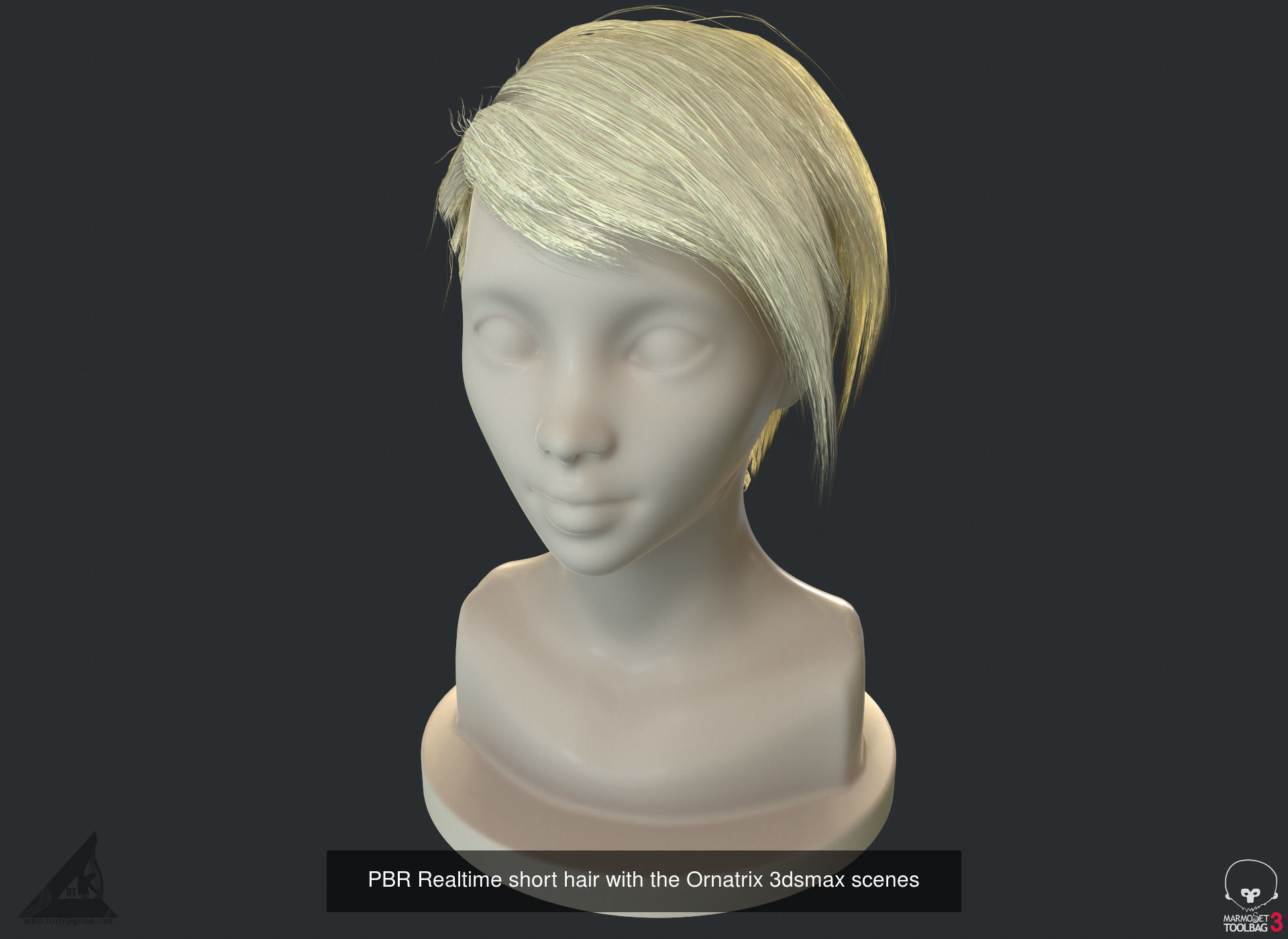 Hair and Fur bundle 3D Model Collection_17