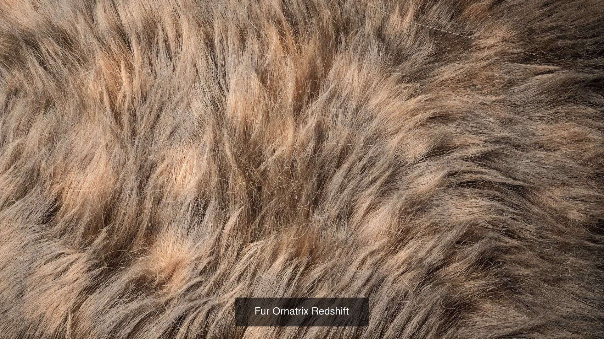 Hair and Fur bundle 3D Model Collection_10