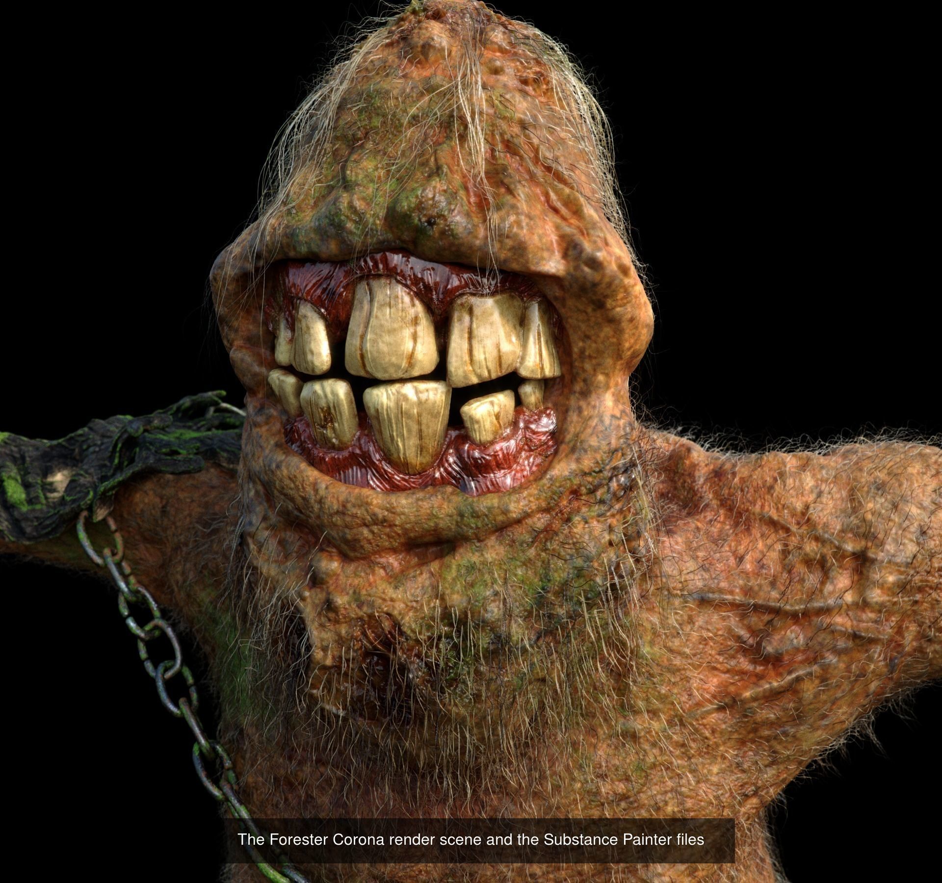 Hair and Fur bundle 3D Model Collection_19