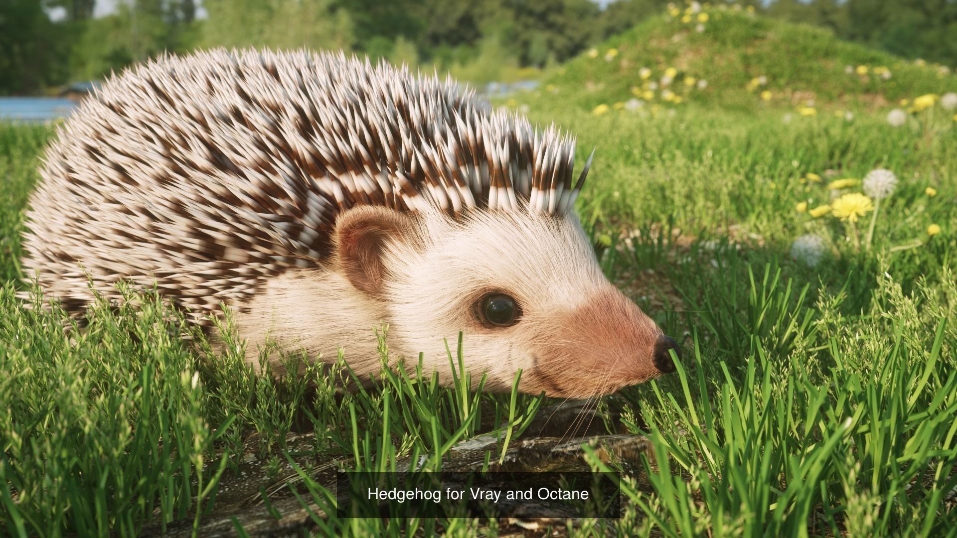 Hair and Fur bundle 3D Model Collection_11