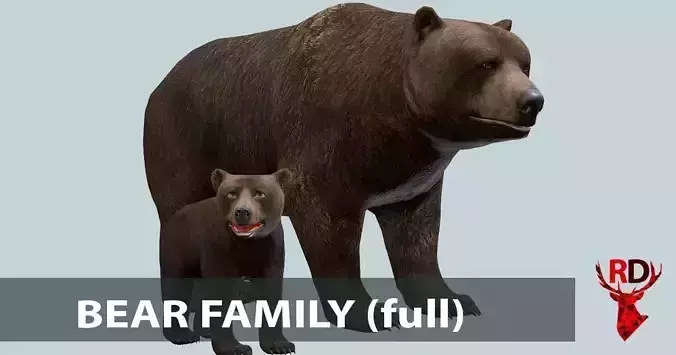 Bear Family 1 Low-poly 3D model