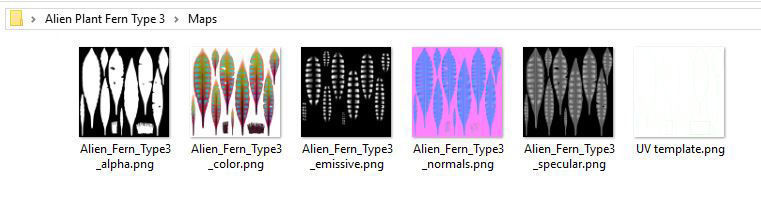 Alien Plant Fern Type 3 Low-poly 3D model_8