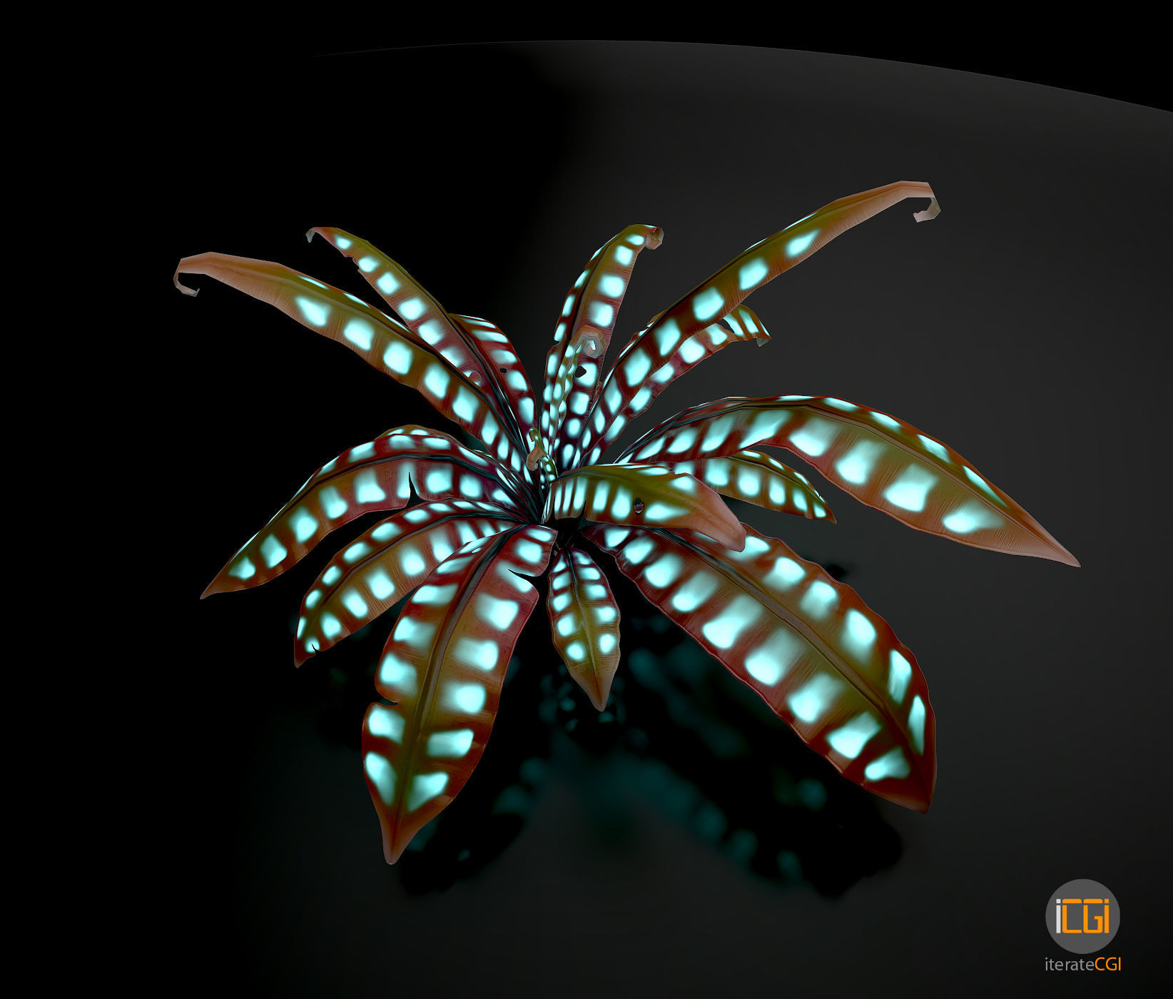 Alien Plant Fern Type 3 Low-poly 3D model_4