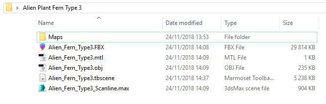 Alien Plant Fern Type 3 Low-poly 3D model_7