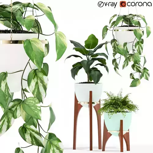 Plants collection 134 Retro Print Revival Planter